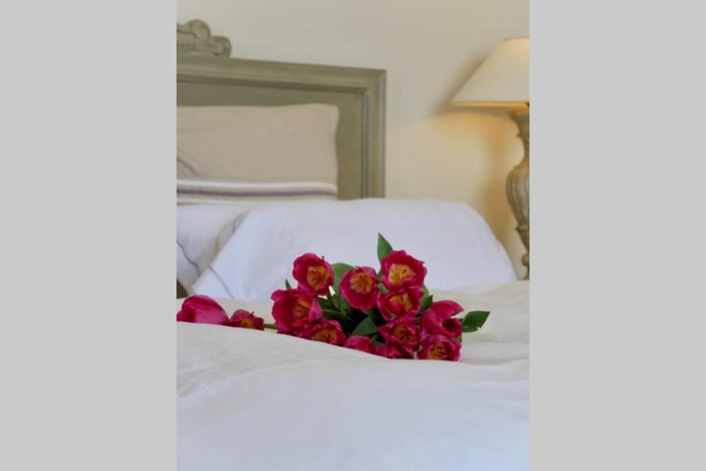 Bord De Mer - Ac, Wifi, Chic, Sea View, Beach 2 Minutes Walk Antibes Kültér fotó